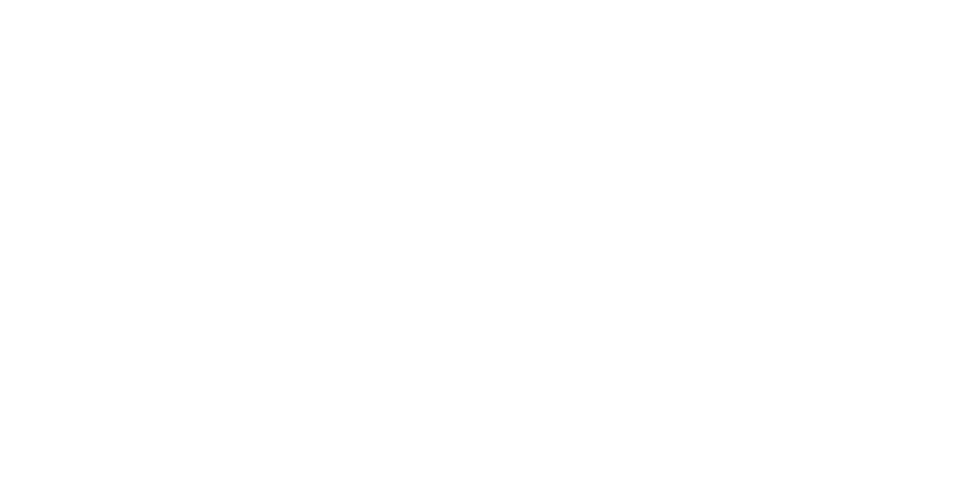 Zari Logo